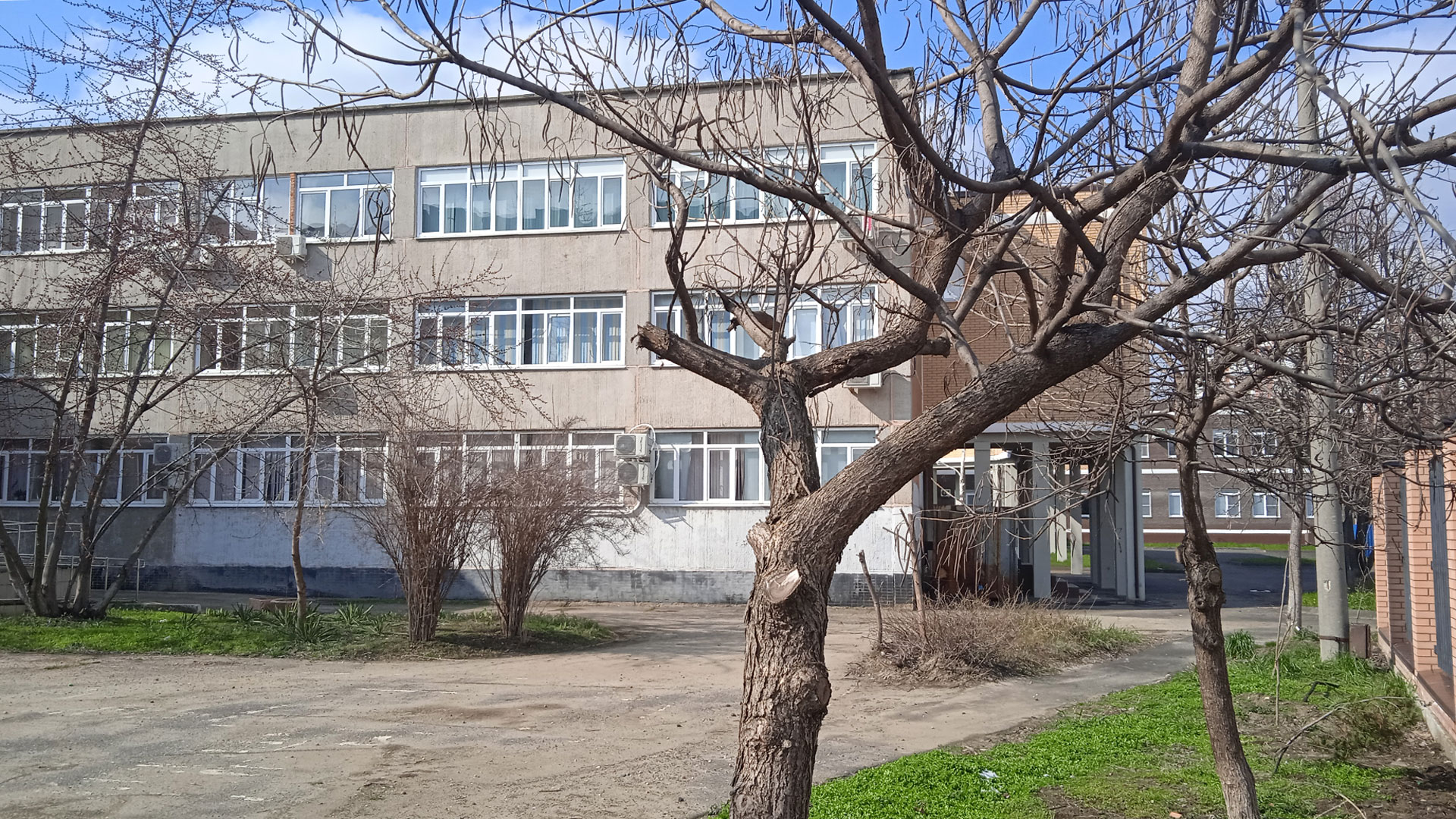 Общий вид здания 87 гимназии г. Краснодар.